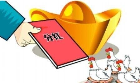 股票分红是什么意思？