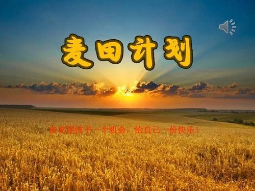 什么是麦田计划