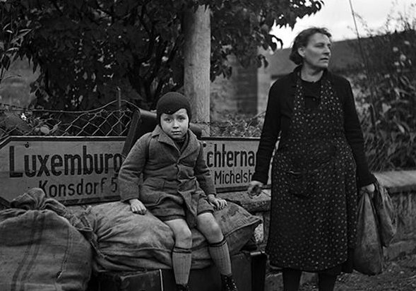 《白桦林好地方》的歌词