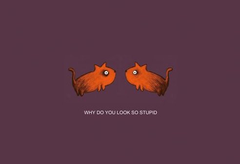 笨蛋 英语怎么写？