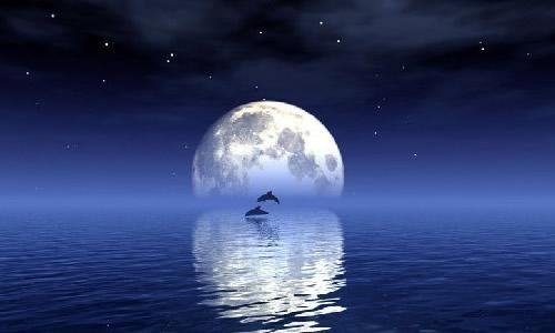 小姐说的海底捞月意思是什么？