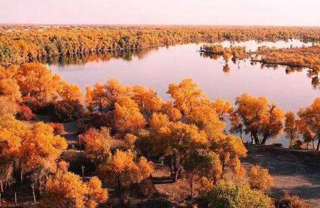 中国的原始森林有哪些地方?