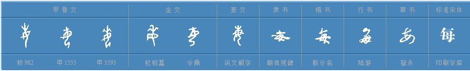 “每”字的部首是什么？