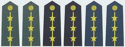 士官。军官怎么通过肩章判断。。。？能详细点否（比如说：几星的是什么级别）