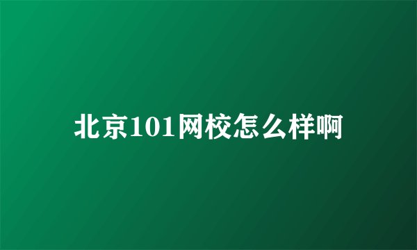 北京101网校怎么样啊