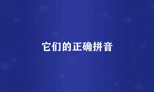 它们的正确拼音