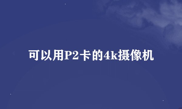 可以用P2卡的4k摄像机