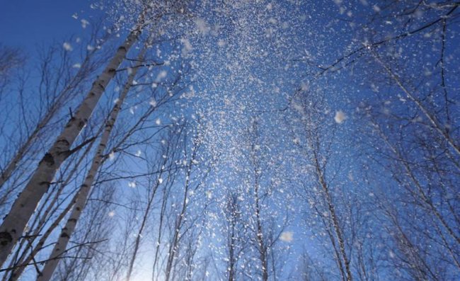 别董大的意思？