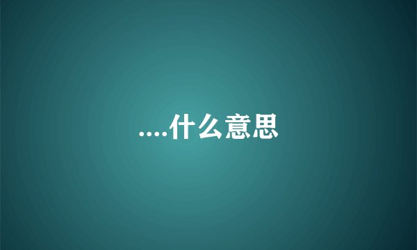....什么意思