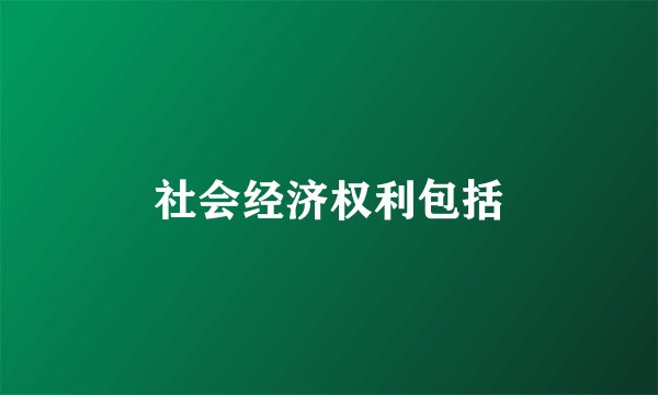 社会经济权利包括