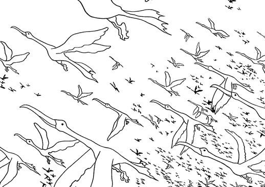 全职猎人里的凯特不是死了吗 怎么后面又变成女的活过来了