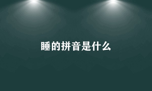 睡的拼音是什么