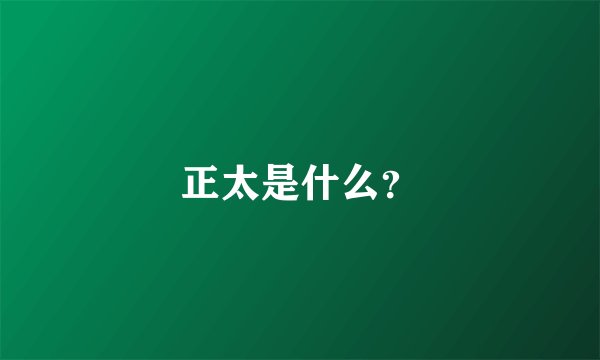 正太是什么？