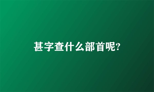 甚字查什么部首呢?