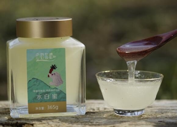 大叶榄仁树有蜂蜜吗