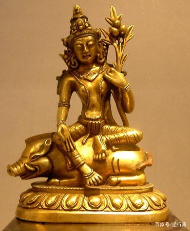 五国十代的灭佛行动，是谁提倡实行的？