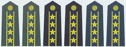 士官。军官怎么通过肩章判断。。。？能详细点否（比如说：几星的是什么级别）