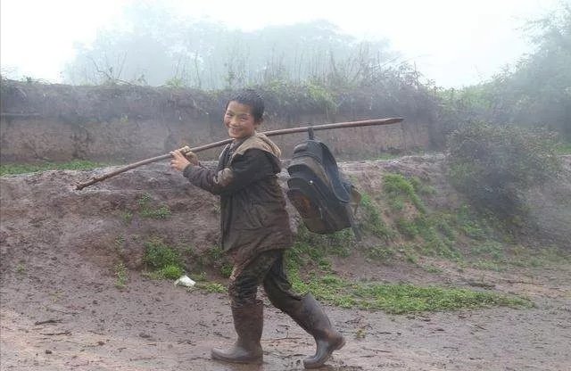 三年前凉山“格斗孤儿”事件的具体情况是怎样的？