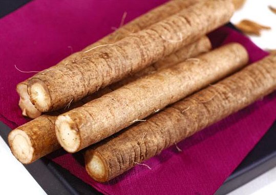 牛蒡长什么样子