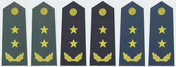 士官。军官怎么通过肩章判断。。。？能详细点否（比如说：几星的是什么级别）