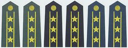 士官。军官怎么通过肩章判断。。。？能详细点否（比如说：几星的是什么级别）
