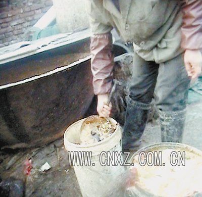 垃圾猪的垃圾猪的危害