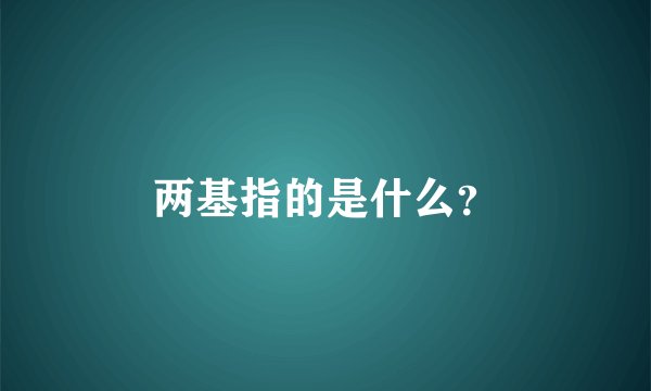 两基指的是什么？
