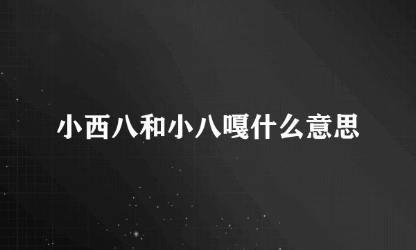 小西八和小八嘎什么意思