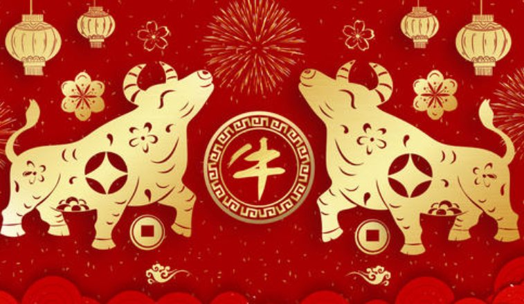 2021年是什么生肖年？