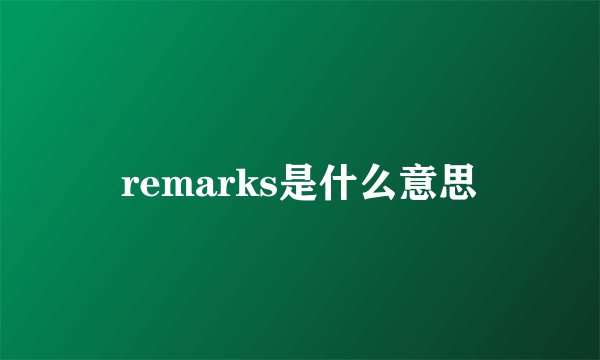 remarks是什么意思