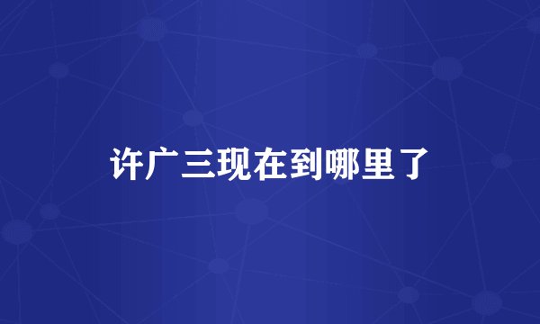 许广三现在到哪里了