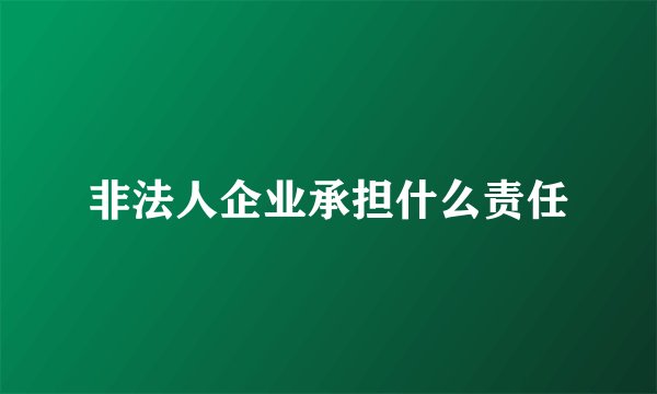 非法人企业承担什么责任