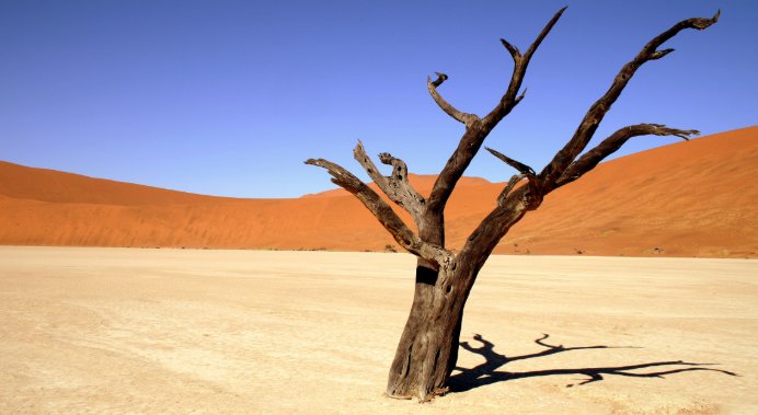 大限将至是什么意思？