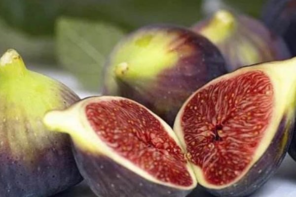 吃无花果的禁忌有哪些?