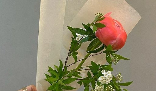 护士节送什么花