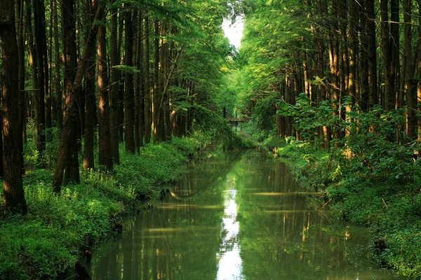 世界上真的有黄泉路吗？