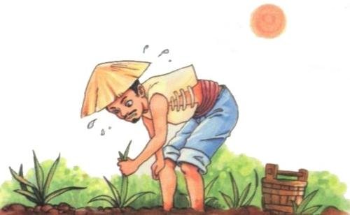 欲速不达的典故