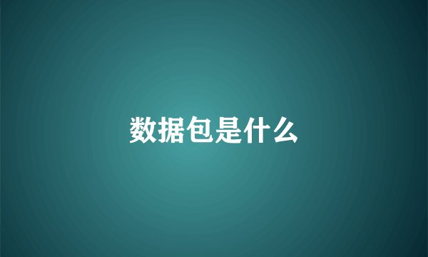 数据包是什么