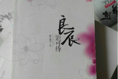 有哪些好看的高干小说推荐?