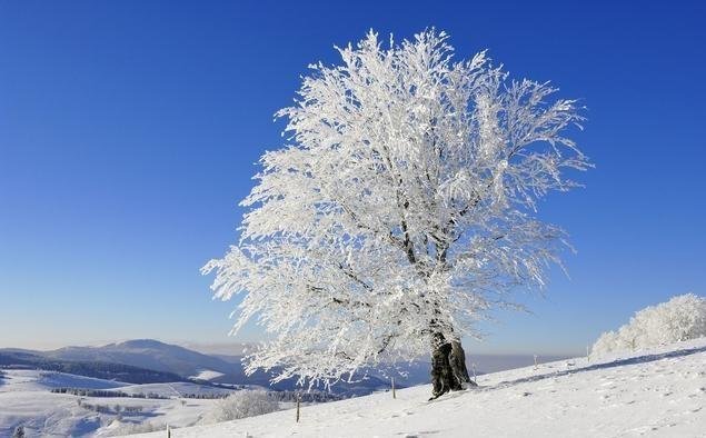五言律诗平仄的基本格式是什么?