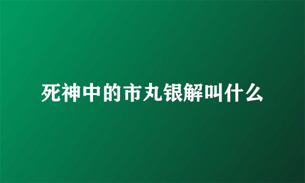 死神中的市丸银解叫什么