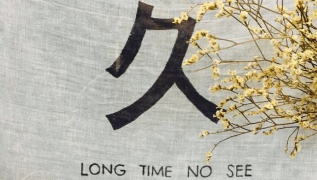 hi，helen.long time no see.是什么意思