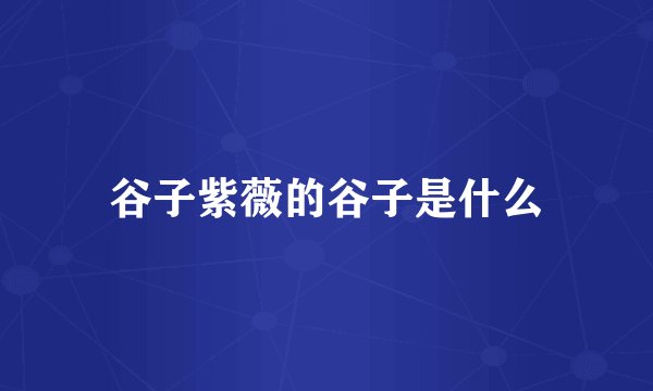 谷子紫薇的谷子是什么