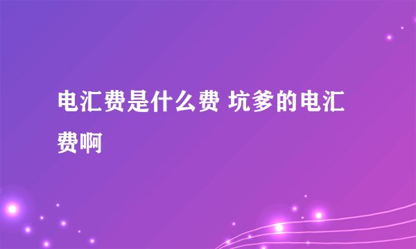 电汇费是什么费 坑爹的电汇费啊