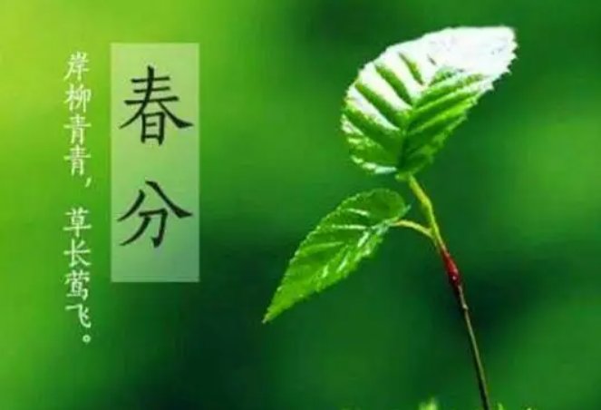 春分是几月几日