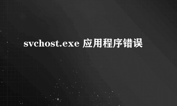 svchost.exe 应用程序错误