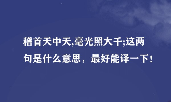 稽首天中天,毫光照大千;这两句是什么意思，最好能译一下！