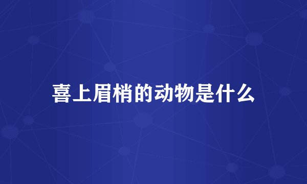 喜上眉梢的动物是什么