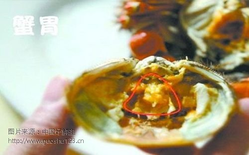 大闸蟹哪些部位不能吃高清图片