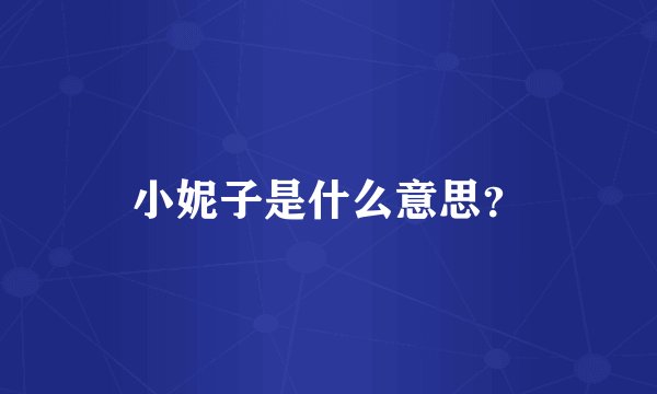 小妮子是什么意思？